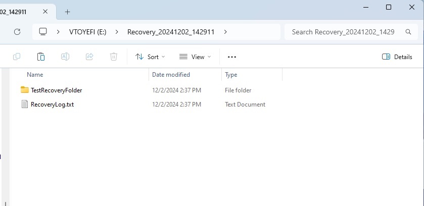 recovered files